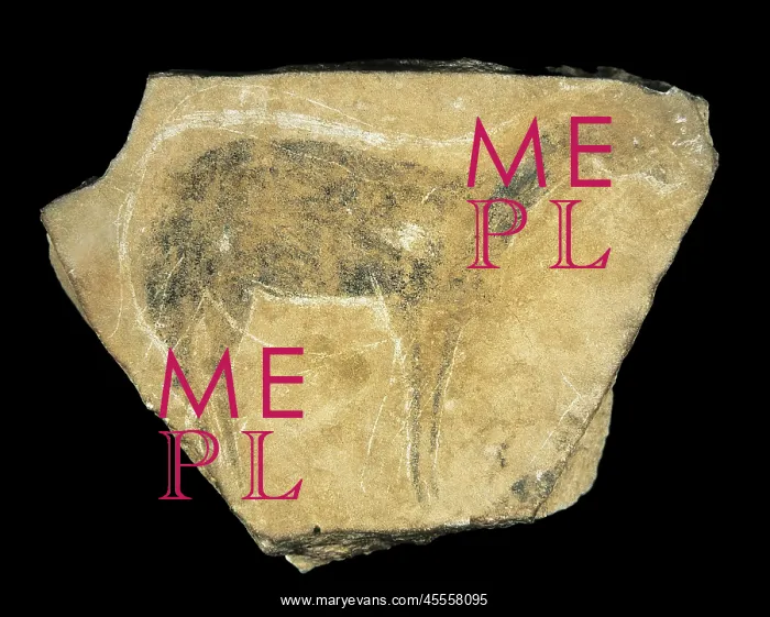 : Black hind. Upper Paleolithic. Solutrean. SPAIN : Black hind. Upper Paleolithic. Solutrean. SPAIN