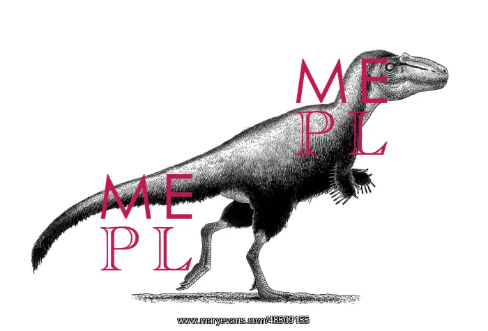 : Black ink drawing of Teratophoneus curriei : Black ink drawing of Teratophoneus curriei