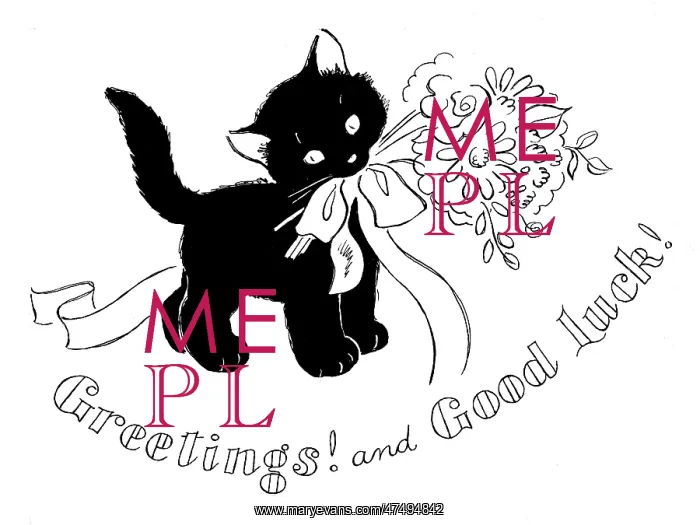 : Black kitten with a bouquet of flowers : Black kitten with a bouquet of flowers