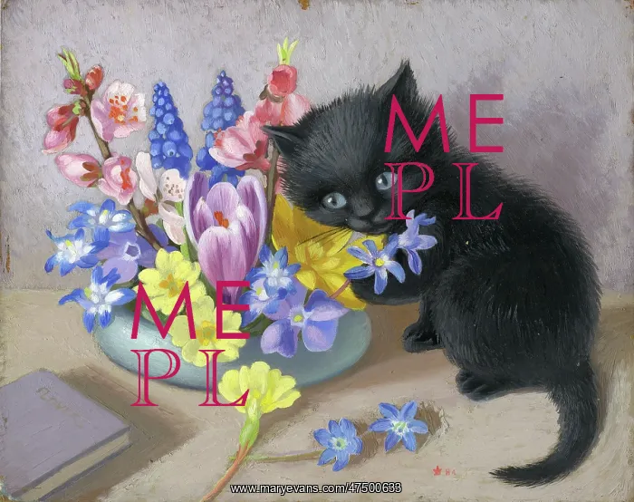: Black Kitten beside a bowl of flowers : Black Kitten beside a bowl of flowers