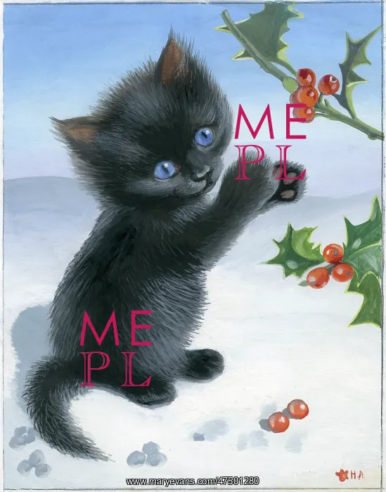  : Black Kitten with holly in the snow
