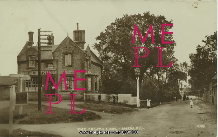 : The Black Lion, London Road : The Black Lion, London Road