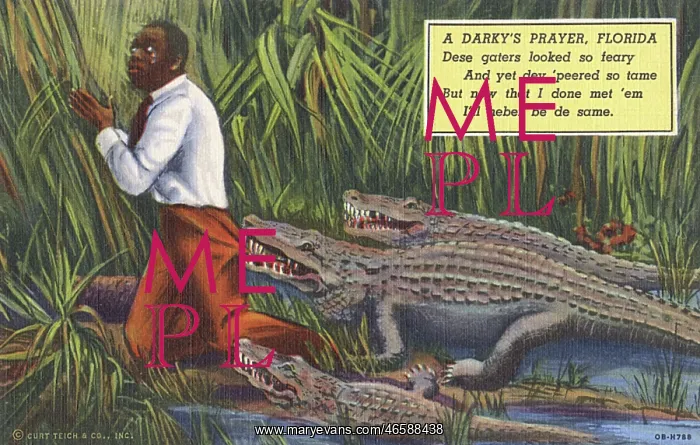 : Black Man in peril - Attack by Alligators in the Everglades : Black Man in peril - Attack by Alligators in the Everglades