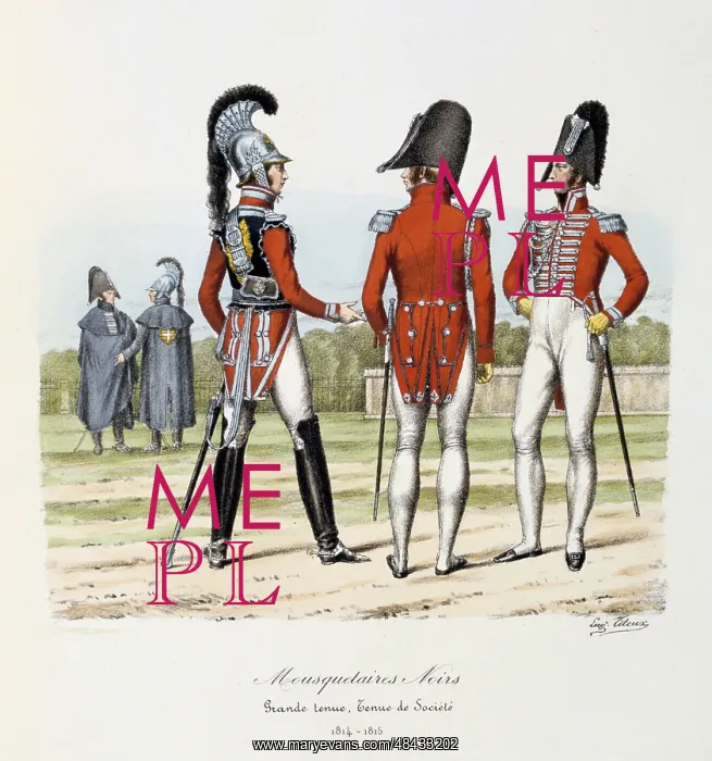 : The black Musketeers, 1814-1815. From Histoire : The black Musketeers, 1814-1815. From Histoire