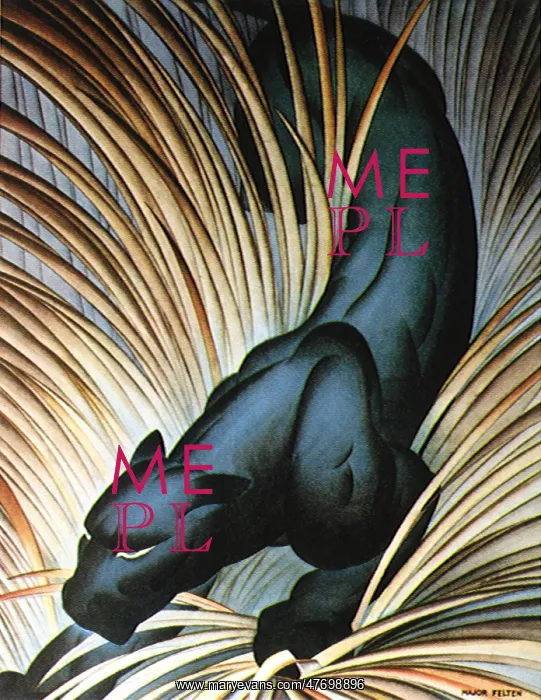  : Black Panther