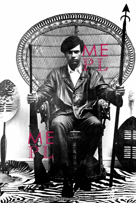 : Black Panther Party : Black Panther Party