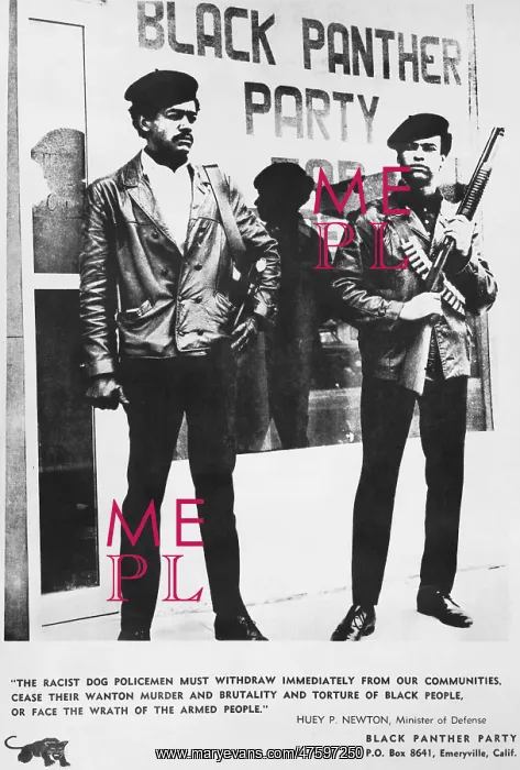 : Black Panther Poster, 1968 : Black Panther Poster, 1968