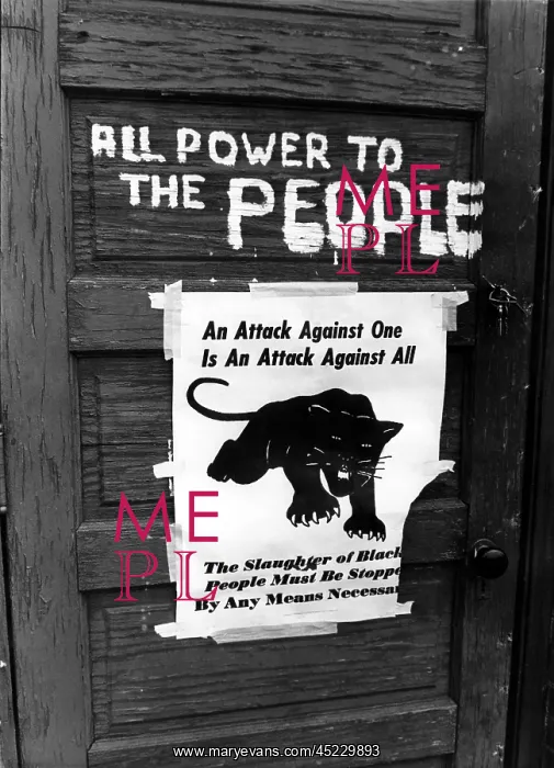 : Black Panther sign, 1970. ? : Black Panther sign, 1970. ?