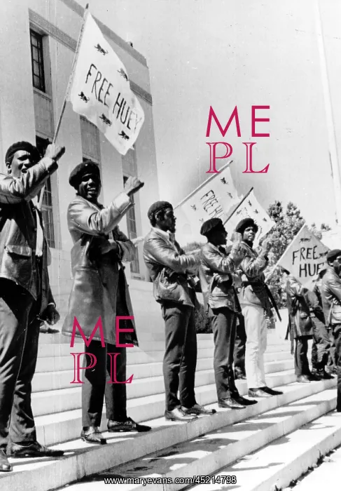 : Black Panthers protest demonstrate against ? : Black Panthers protest demonstrate against ?
