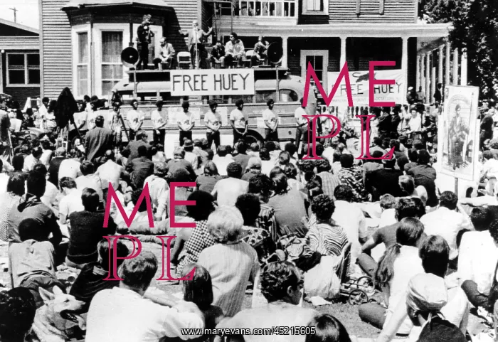 : Black Panthers, supporters of Huey Newton ? : Black Panthers, supporters of Huey Newton ?