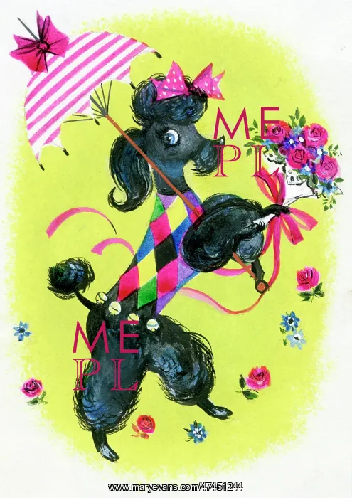  : Black Poodle with a sunshade and bunch of roses