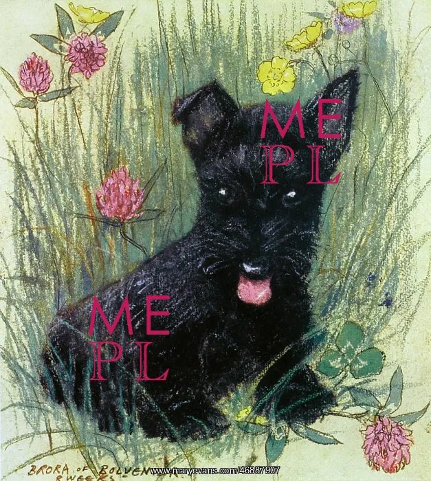 : Black puppy by Muriel Dawson : Black puppy by Muriel Dawson