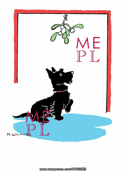 : Black Scottish Terrier dog under mistletoe : Black Scottish Terrier dog under mistletoe