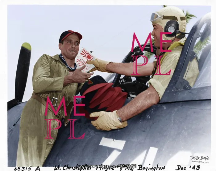 : Black Sheep Squadron In Colour : Black Sheep Squadron In Colour