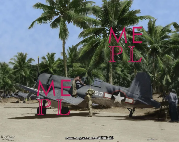 : Black Sheep Squadron In Colour : Black Sheep Squadron In Colour