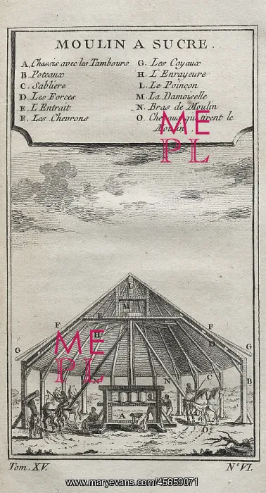 : Black slaves grinding sugarcanes in a mill (1759) : Black slaves grinding sugarcanes in a mill (1759)