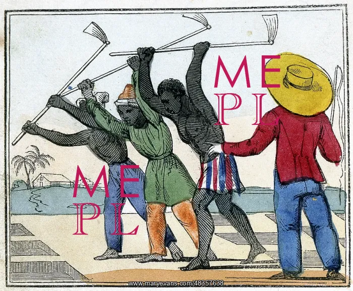: Black slaves working in the cane fields: Holing : Black slaves working in the cane fields: Holing