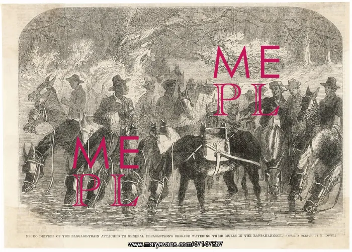 : Black Soldiers in Union Army : Black Soldiers in Union Army