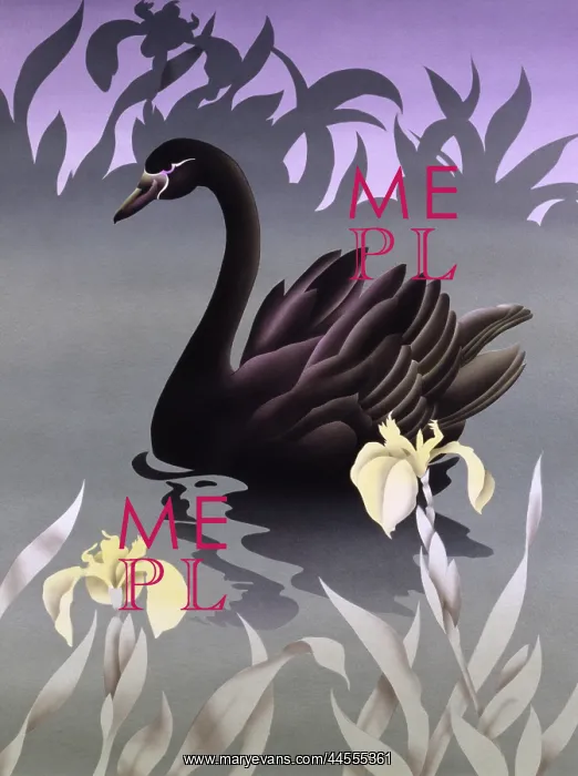 : Black Swan : Black Swan