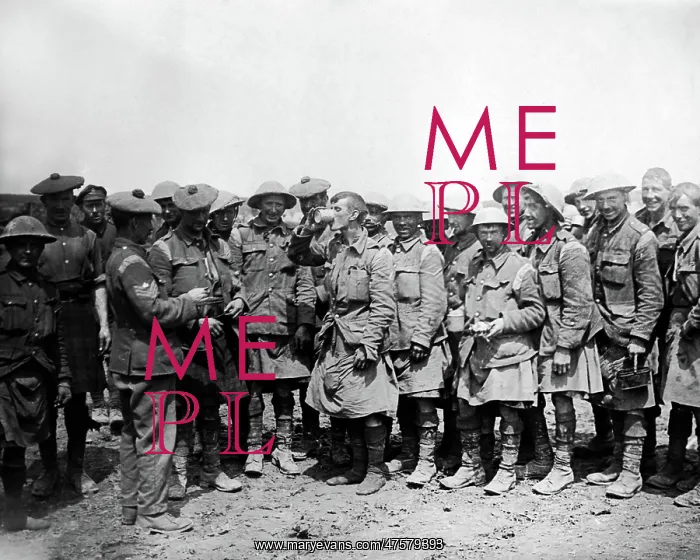 : Black Watch with issue of rum, Western Front, WW1 : Black Watch with issue of rum, Western Front, WW1