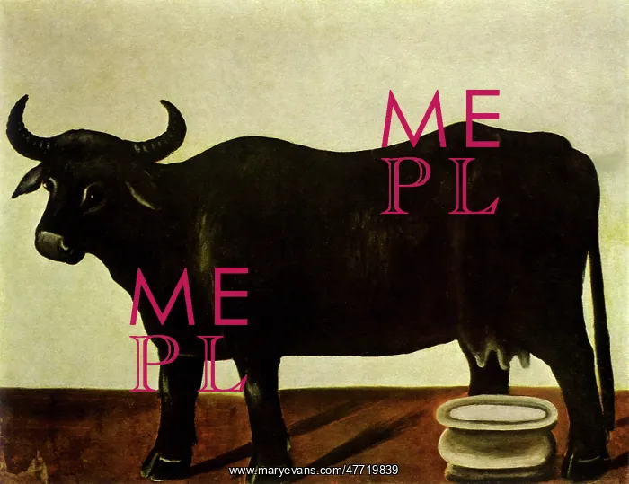  : Black Water Buffalo