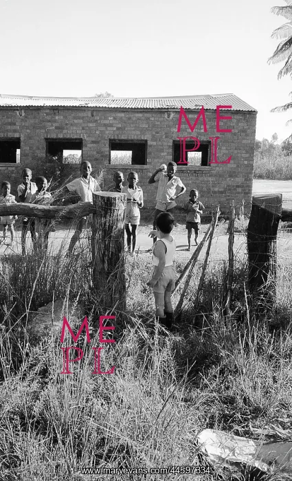 : Black and white photo of children playing on cattle : Black and white photo of children playing on cattle