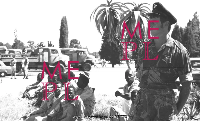 : Black and white photo of group of men looking : Black and white photo of group of men looking