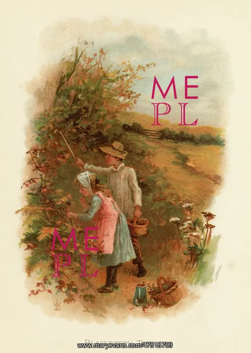 : Blackberry time / children's book : Blackberry time / children's book