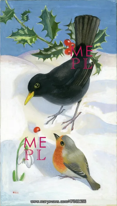 : Blackbird and robin in the snow : Blackbird and robin in the snow