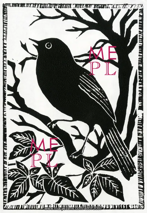  : A blackbird sings whilst perched on a branch
