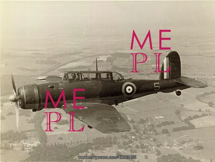 : Blackburn B-24 Skua II L2920 : Blackburn B-24 Skua II L2920