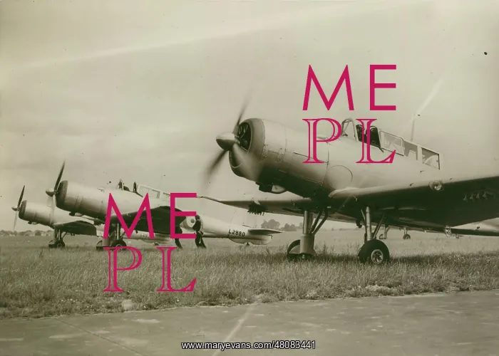 : Blackburn B-24 Skua IIs : Blackburn B-24 Skua IIs