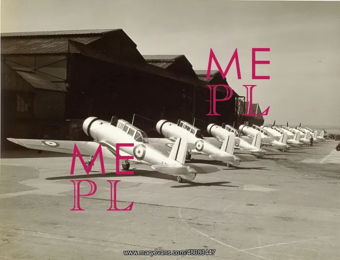 : Blackburn B-24 Skua IIs : Blackburn B-24 Skua IIs