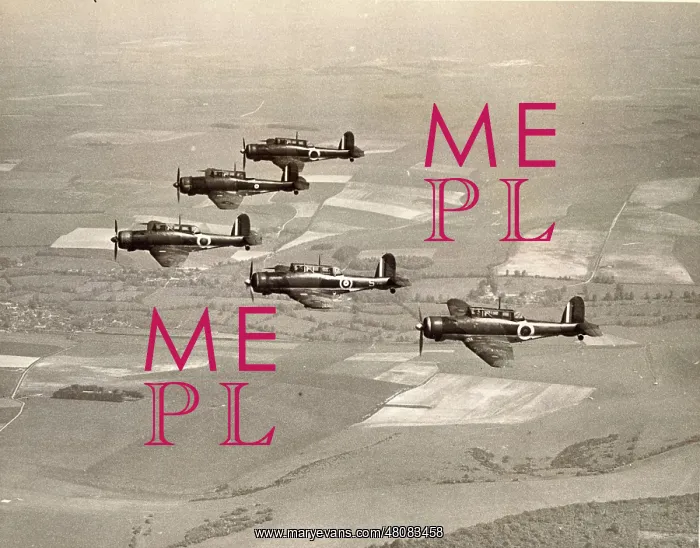 : Blackburn B-24 Skua IIs : Blackburn B-24 Skua IIs