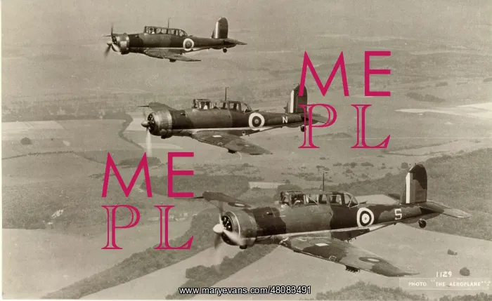 : Blackburn B-24 Skua IIs : Blackburn B-24 Skua IIs