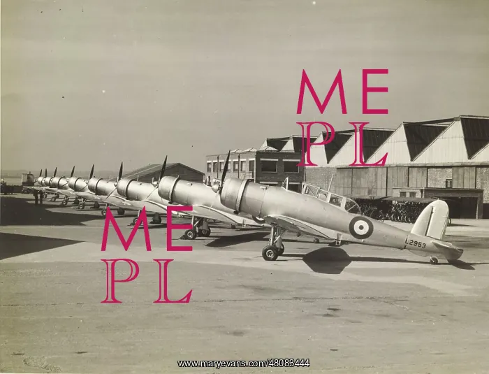 : Blackburn B-24 Skua IIs from the second production batch : Blackburn B-24 Skua IIs from the second production batch