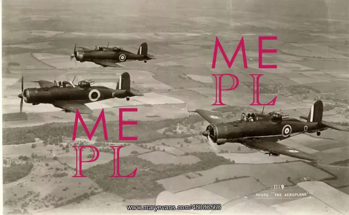 : Three Blackburn B-25 Rocs including L3114 : Three Blackburn B-25 Rocs including L3114