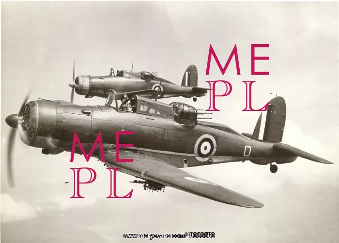 : Two Blackburn B-25 Rocs including L3118 : Two Blackburn B-25 Rocs including L3118