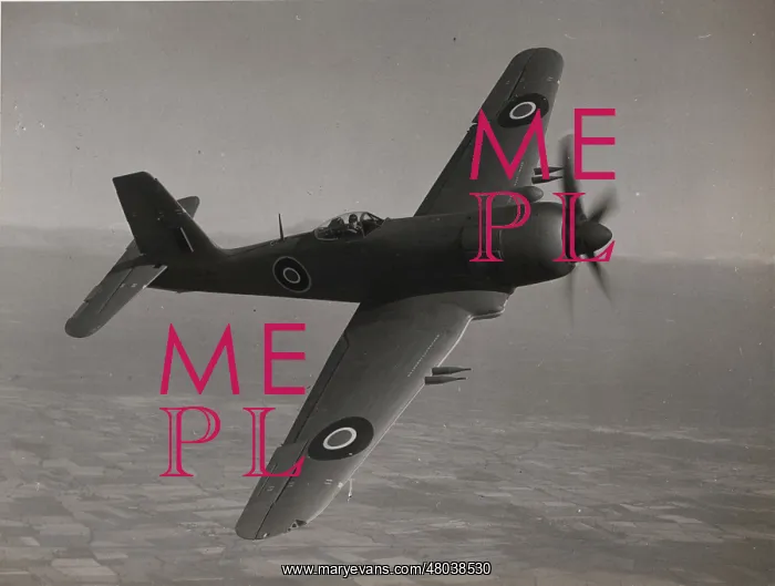 : Blackburn B-46 Firebrand TF4 in flight : Blackburn B-46 Firebrand TF4 in flight