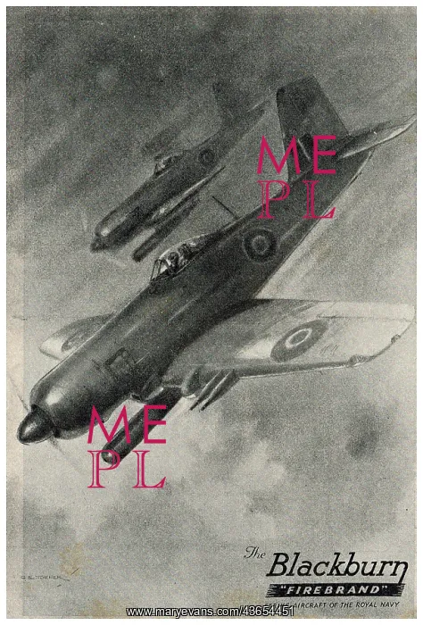  : Blackburn Firebrand