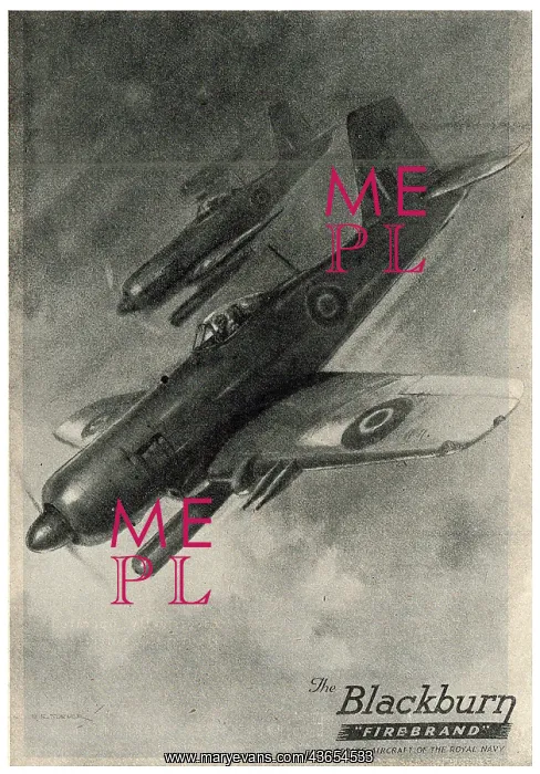  : Blackburn Firebrand