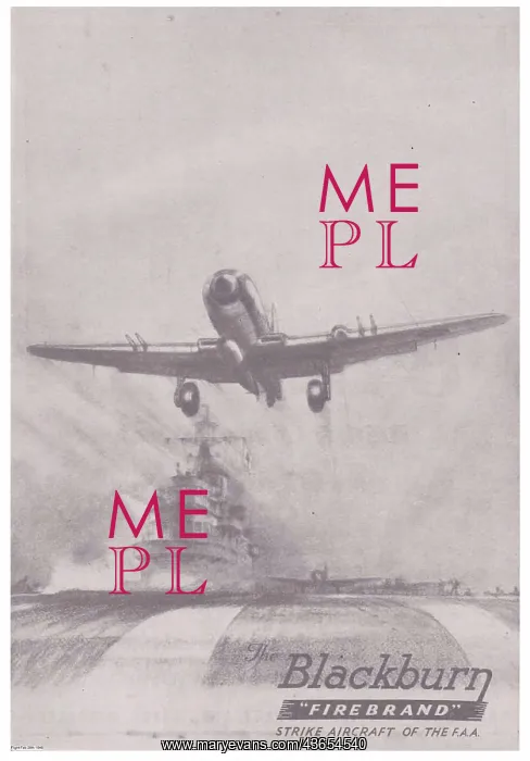 : Blackburn Firebrand : Blackburn Firebrand