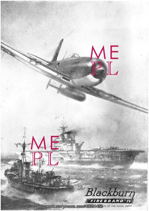  : Blackburn Firebrand IV