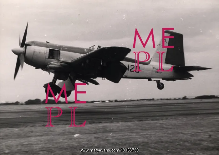 : Blackburn Firebrand TF5 EK777 : Blackburn Firebrand TF5 EK777