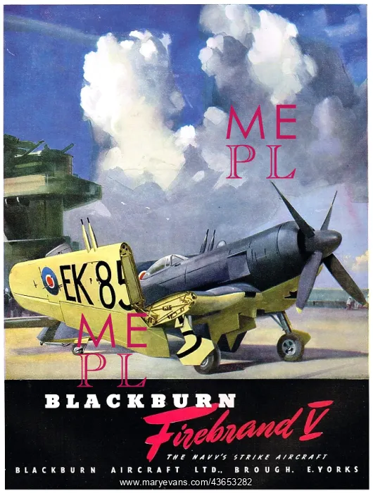  : Blackburn Firebrand V