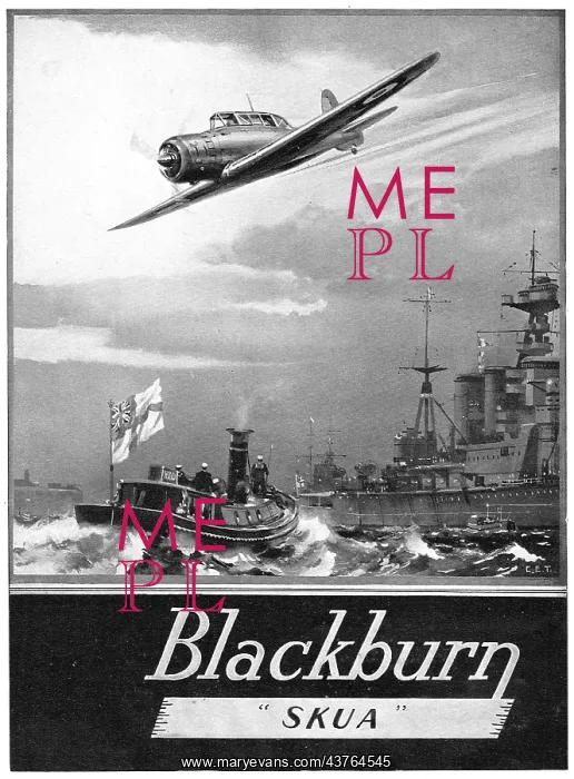 : Blackburn Skua : Blackburn Skua