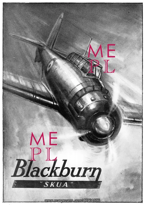  : Blackburn Skua