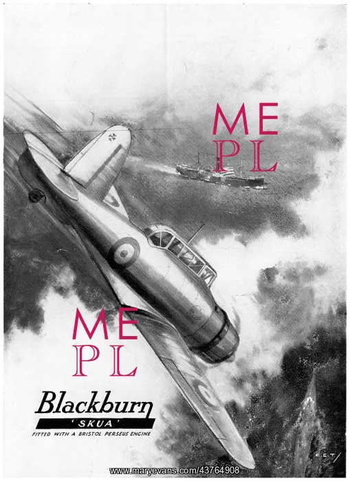 : Blackburn Skua : Blackburn Skua