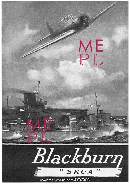  : Blackburn Skua