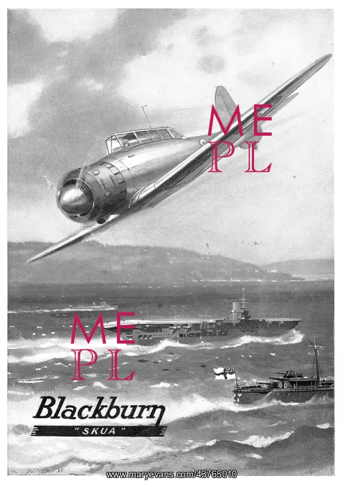 : Blackburn Skua : Blackburn Skua